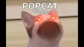 POPCAT(АЙМ ОЛВЭЙС КАМБЭК)8