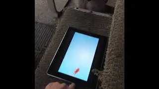 Baby raccoon playing with an iPad!!