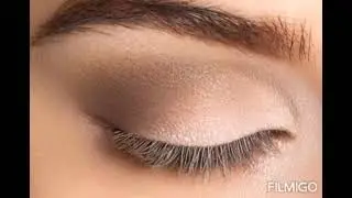 Beginner Smokey Eye Makeup Tutorial || How to get Smokey Eyes || Easy Smoky Eye.