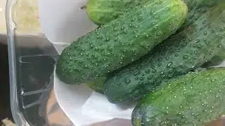 Салат та інші родичі гарбузові