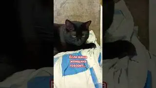 Если ваша женщина говорит... 