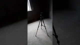 дом