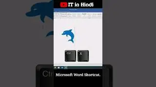 MS word symbols shortcuts 😎🔥 | Dolphin 🐬 Symbo | 