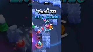 Rank 30 Lily Guide
