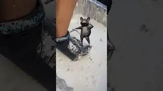 DIY quicksand Rat trap 🐀🐀 