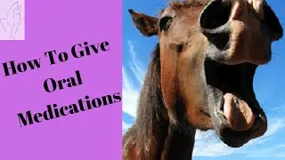How To Give Oral Medications: Presented By Mountain View Equine Hospital