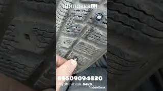 Шиповка!!! Мурманская 54к5 89609094820