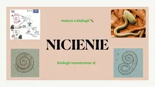 #23 Nicienie - budowa, cykle rozwojowe 🪱 biologia rozszerzona do matury 🍀liceum