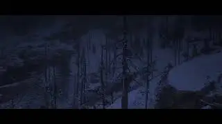 RDR 2 сюжет#1