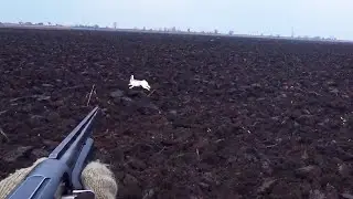 6 ВЫСТРЕЛОВ ПО ЧЕРВИВОМУ ЗАЙЦУ !!!!