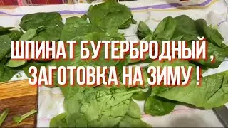 Шпинат бутербродный , заготовка на зиму.