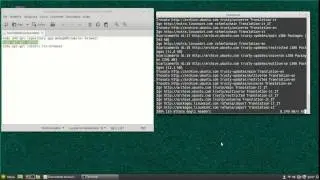 /Install tor browser in linux mint 17.2/