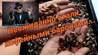 НЕОЖИДАННО СТАЛИ КОФЕЙНЫМИ БАРОНАМИ...