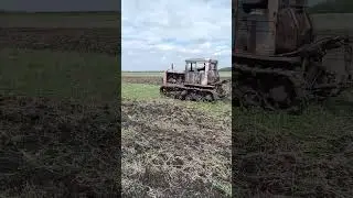 Трактор Т-74 с дымком тяжелая культивация #дт75 #farming #dt75 #синийтрактор #вспашка