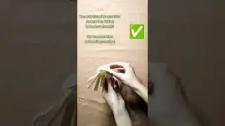Cup Basket