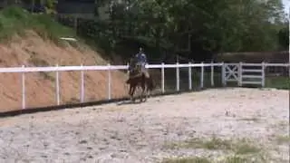 Johnny&Apolo