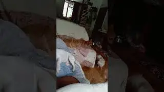 Отдыхаем..