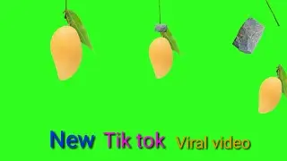 Paththar se Aam Todne wala Green screen video  | Mango Magic on Tik tok  | New Mango VFX