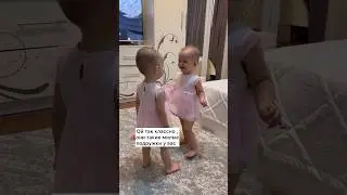 Как общаются близнецы