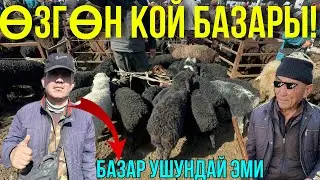 АЙТКА КОЙ КӨП АЛАРМАН АЗ 🤯 