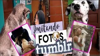 FOTOS TUMBLR CON MASCOTAS