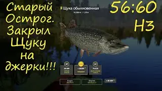 Трофейная Щука на джерки. Оз. Старый острог. рр4