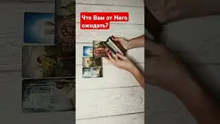 #tarotube #онлайнрасклад #tarot #таро #гадание #tarotmisha #тароонлайн #таролог #тарогадание
