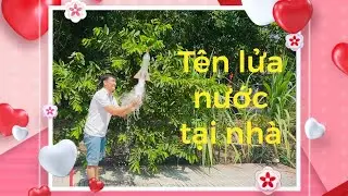 Create your own water rocket at home and end ...