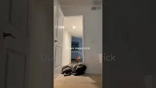 WAIT A SEC...where did my Mom go?! (Cute Dog Videos) #cutedogs #shorts