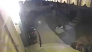 Кот ниндзя