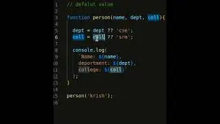 How to set default value in a function in javascript 