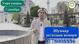 Шумкар устаз менен умра сапары. @Аянба_медиа