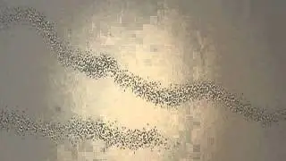P9300780