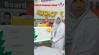 photosynthesis | Oxford Grammar school Shahdara town campus