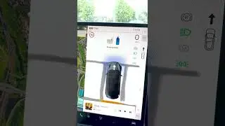No Gear Stalk How To Drive Tesla Highland Model 3!