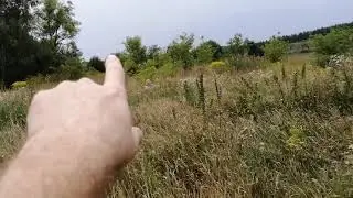 Огород Полетаевых