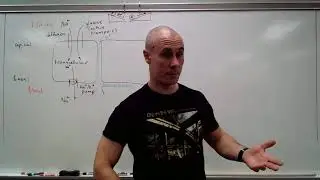 Reabsorption and secretion. Renal clearance