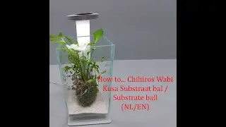 Aquaplantsonline - How to... Chihiros Wabi Kusa Substraat bal / Substrate ball (NL/EN)