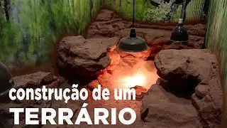 Construindo um terrário