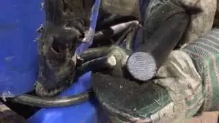 Knowing When To Strip Your Aluminum Wire for Scrap