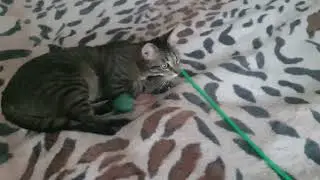 Ой, Там Меня Показывают ?