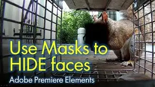 Blur faces with video masking
