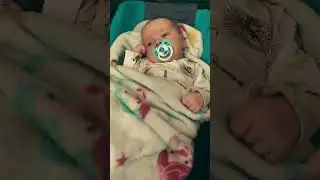 #видео