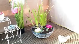HOW TO MAKE A MINI POND ON THE BALCONY \ NIMFEIA...MINI POND ON THE BALCONY \ NIMFEIA.