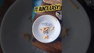 It Ain't Easy Being Cheesy!
