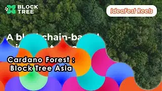 Cardano Forest BlockTree Asia : Foster Trust & Trackability in Reforestation