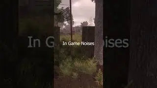 How to: Stalker Cardio -Stalker GAMMA-