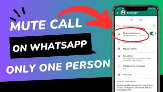 how to mute call on whatsapp | whatsapp call Mute | mute call on Whatsapp only one person