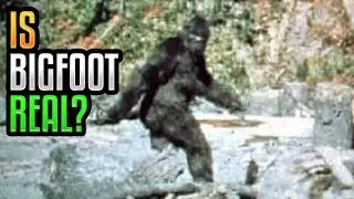 Is Bigfoot Real?