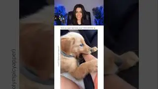 HER BF'S DOG BULLIES HER 😭
